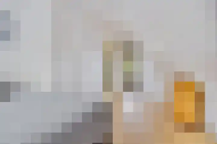 Grietpad 4 Almere thumbnail 33