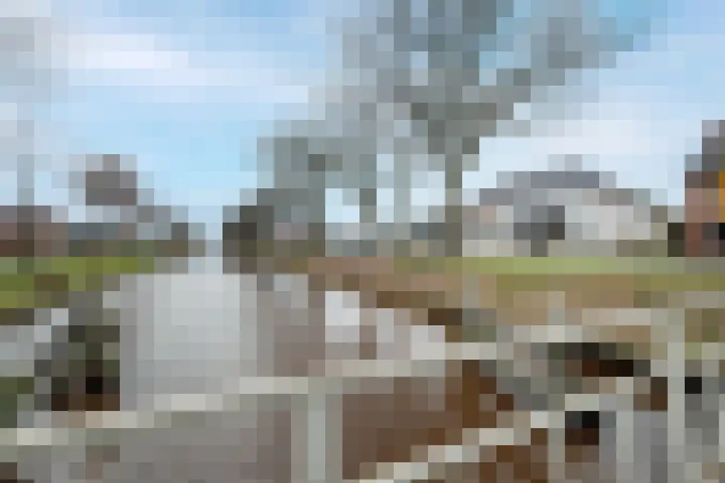 Grietpad 4 Almere thumbnail 8