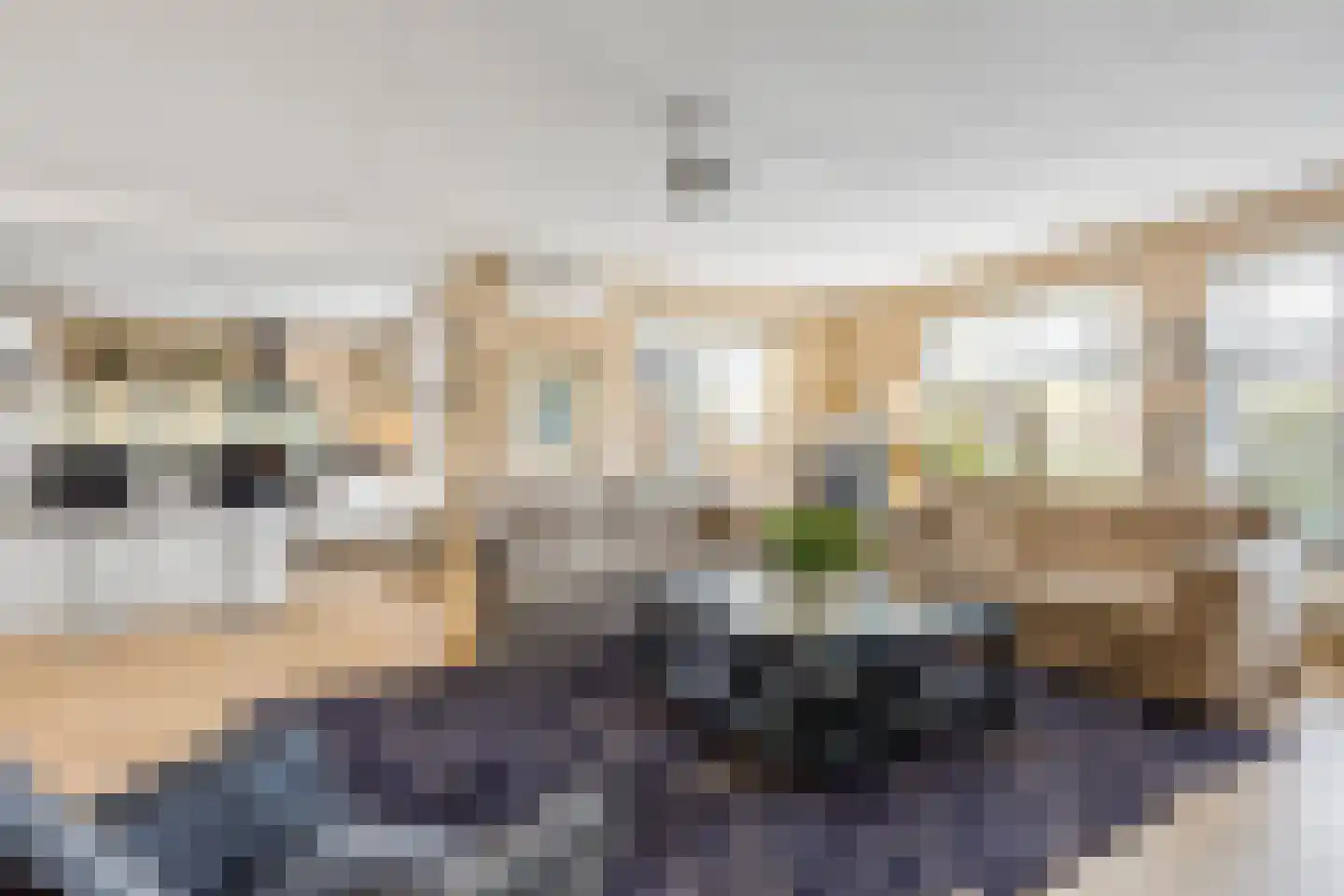 Grietpolderstraat 11 Den Haag thumbnail 7