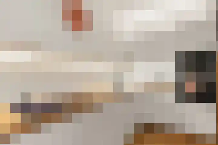 Grietstraat 3 Utrecht thumbnail 15