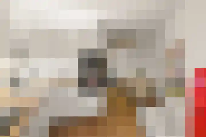 Grietstraat 3 Utrecht thumbnail 16