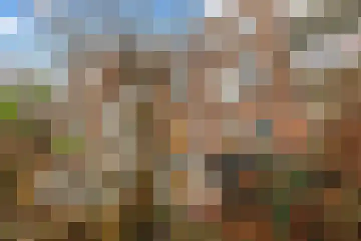 Grietstraat 3 Utrecht thumbnail 18