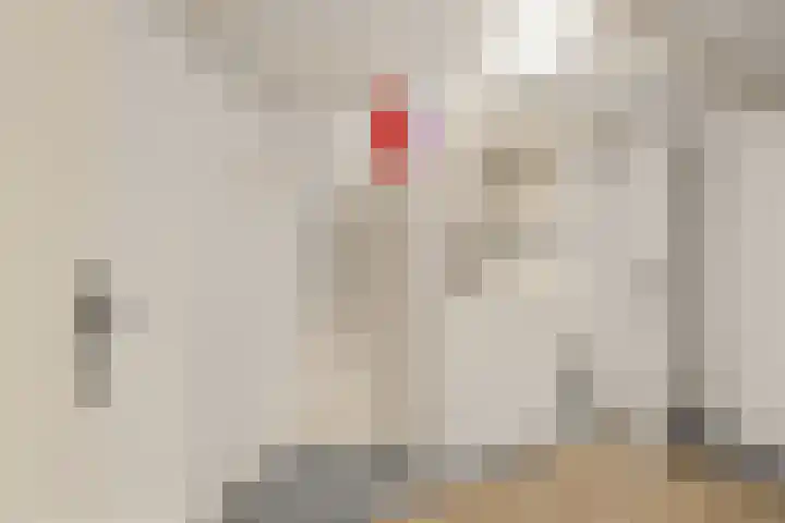Grietstraat 3 Utrecht thumbnail 19