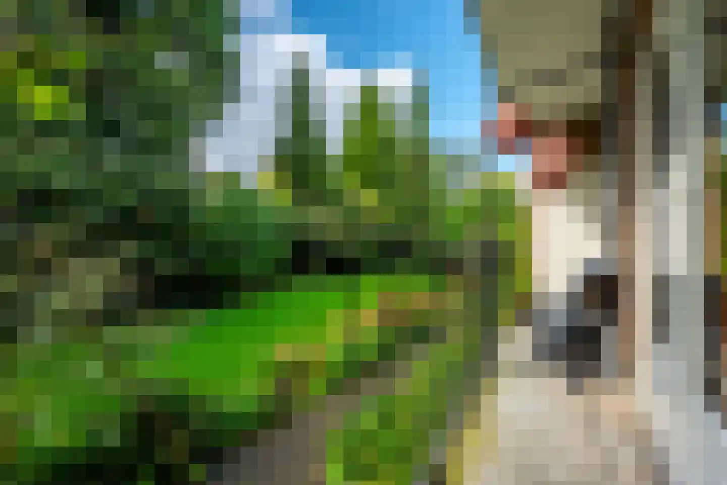 Griffensteijnselaan 13 Zeist thumbnail 21