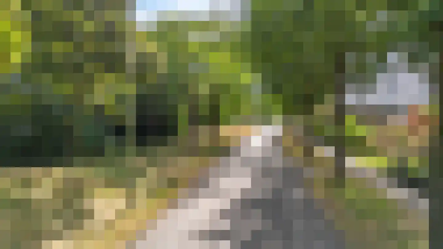 Griffensteijnselaan 166 Zeist thumbnail 21