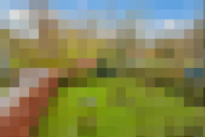 Griffensteijnselaan 26 Zeist thumbnail 31