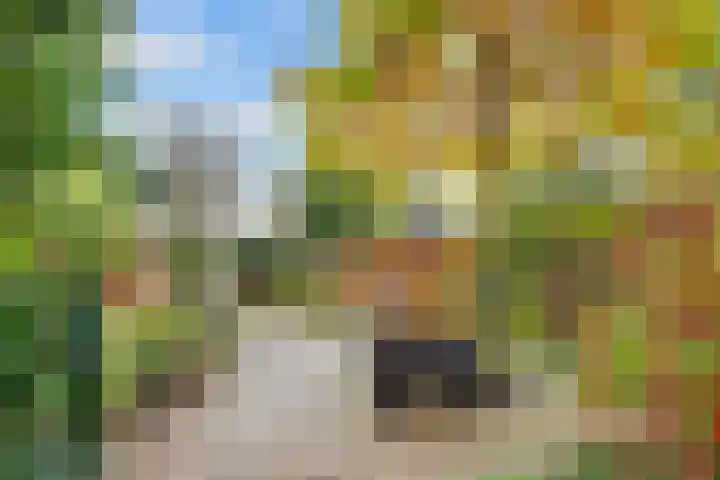 Griffensteijnselaan 26 Zeist thumbnail 38