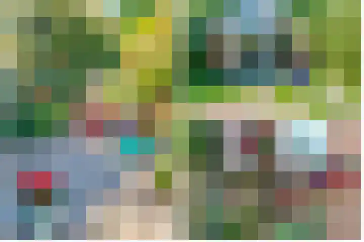 Griffensteijnselaan 26 Zeist thumbnail 47