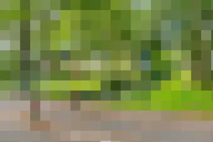 Griffensteijnselaan 26 Zeist thumbnail 50