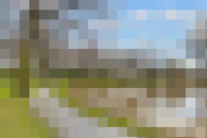 Griffensteijnselaan 26 Zeist thumbnail 51