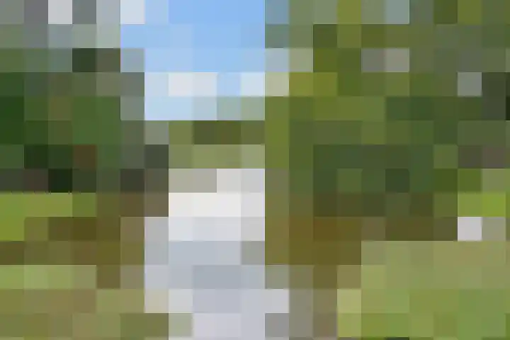 Griffensteijnselaan 26 Zeist thumbnail 52