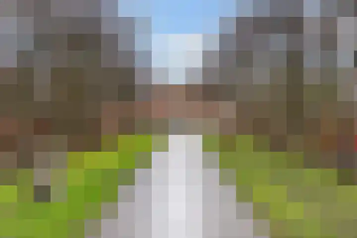 Griffensteijnselaan 26 Zeist thumbnail 53