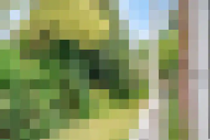 Griffensteijnselaan 39 Zeist thumbnail 10