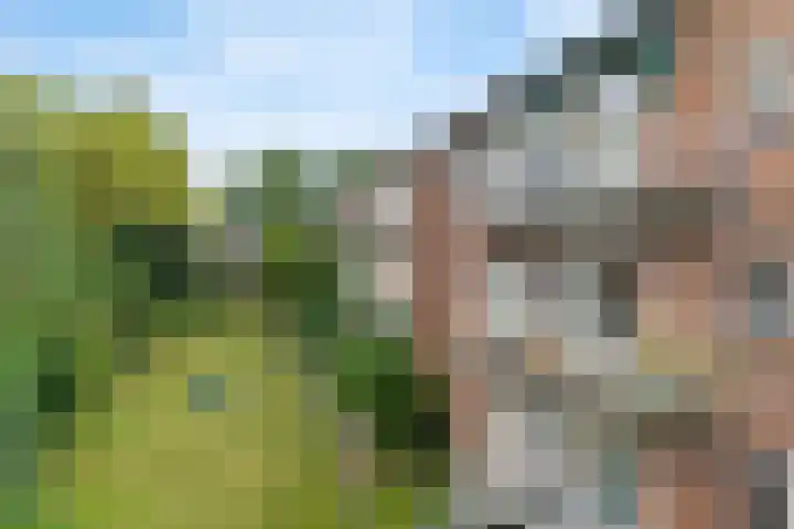Griffensteijnselaan 39 Zeist thumbnail 21