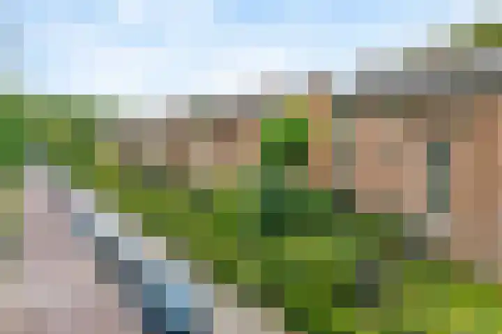 Griffensteijnselaan 39 Zeist thumbnail 23