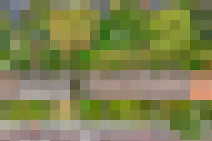 Griffensteijnselaan 39 Zeist thumbnail 24