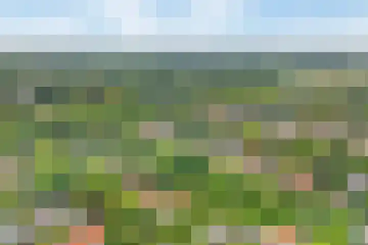 Griffensteijnselaan 39 Zeist thumbnail 25