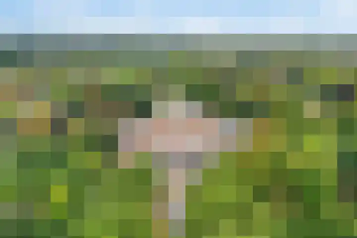 Griffensteijnselaan 39 Zeist thumbnail 26