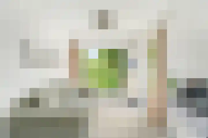 Griffensteijnselaan 39 Zeist thumbnail 5