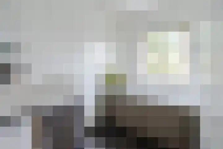 Griffensteijnselaan 44 Zeist thumbnail 16