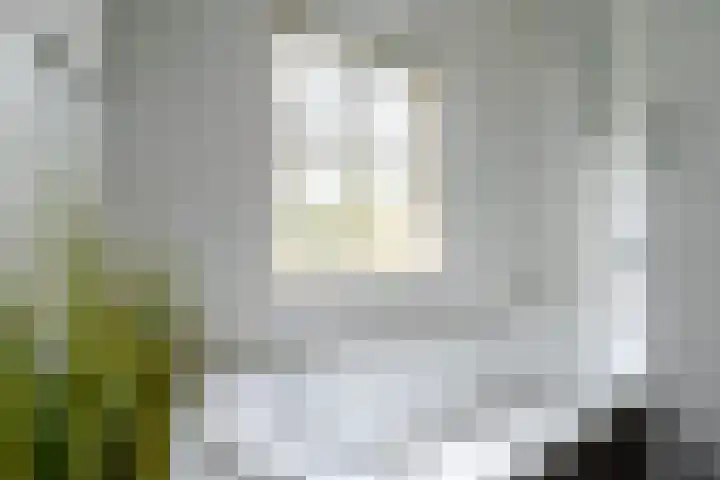Griffensteijnselaan 44 Zeist thumbnail 17