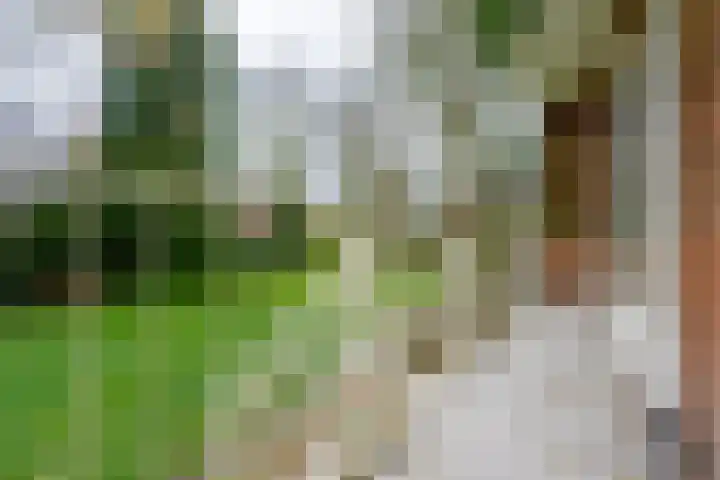 Griffensteijnselaan 44 Zeist thumbnail 18