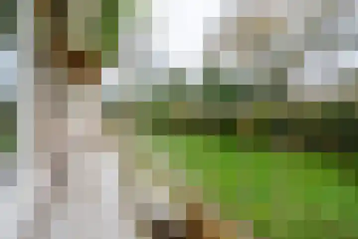 Griffensteijnselaan 44 Zeist thumbnail 19