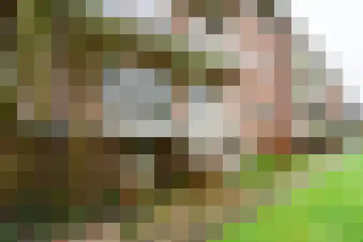 Griffensteijnselaan 44 Zeist thumbnail 21