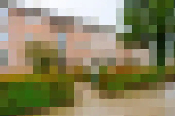 Griffensteijnselaan 44 Zeist thumbnail 25