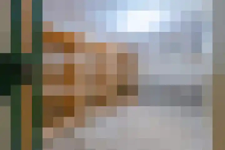 Griffensteijnselaan 44 Zeist thumbnail 27