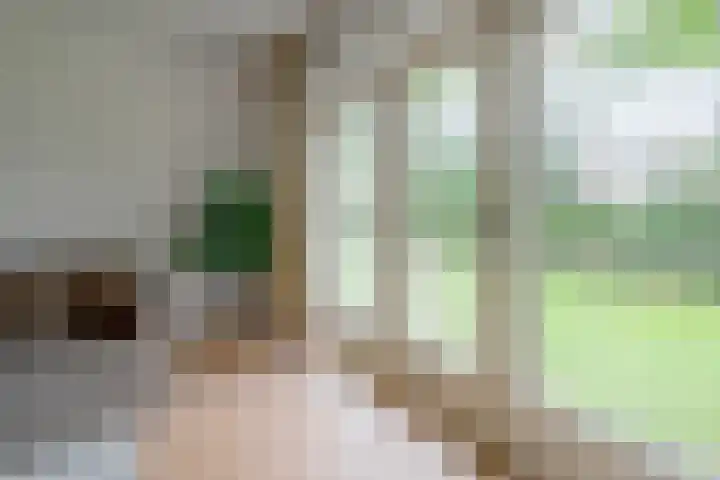Griffensteijnselaan 44 Zeist thumbnail 9