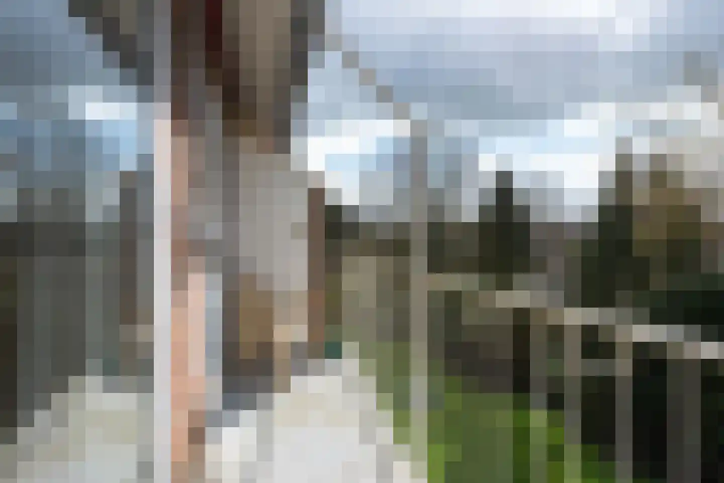 Griffensteijnselaan 48 Zeist thumbnail 17