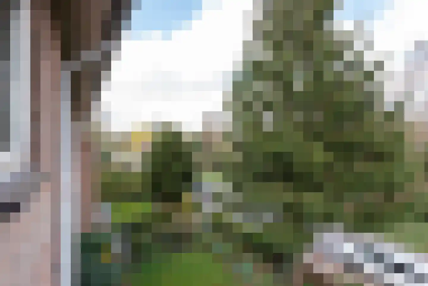 Griffensteijnselaan 48 Zeist thumbnail 20