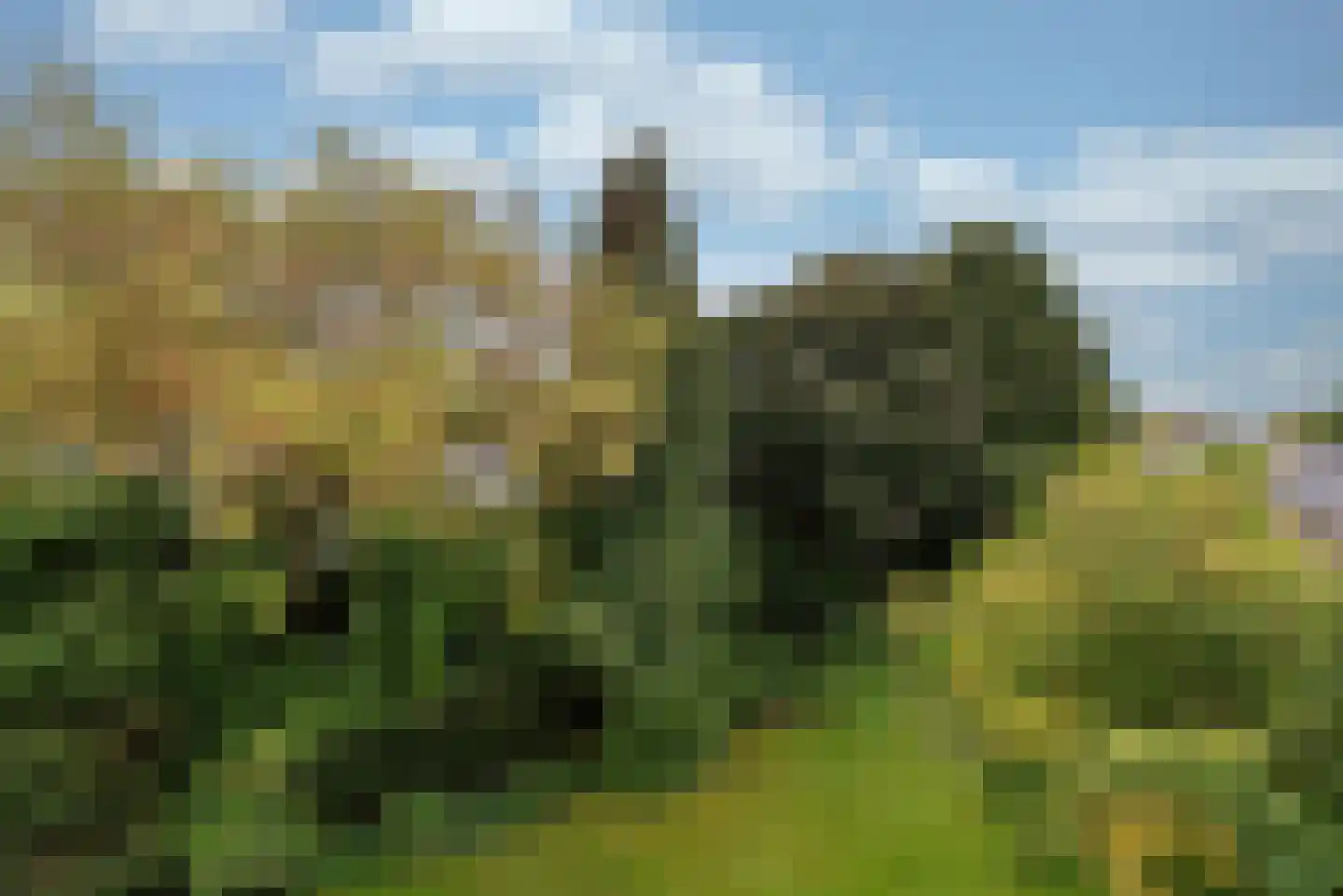 Griffensteijnselaan 48 Zeist thumbnail 35