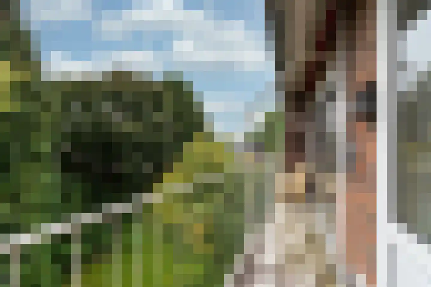 Griffensteijnselaan 48 Zeist thumbnail 9