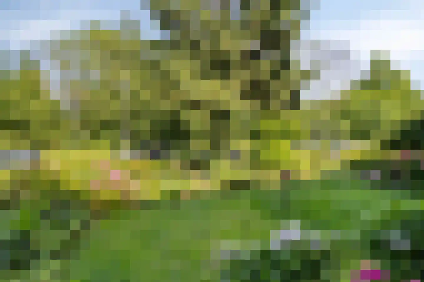 Griffensteijnselaan 49 Zeist thumbnail 16