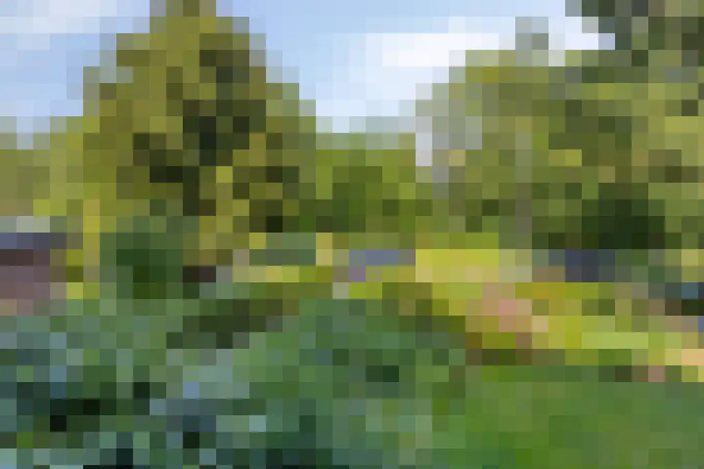 Griffensteijnselaan 49 Zeist thumbnail 17