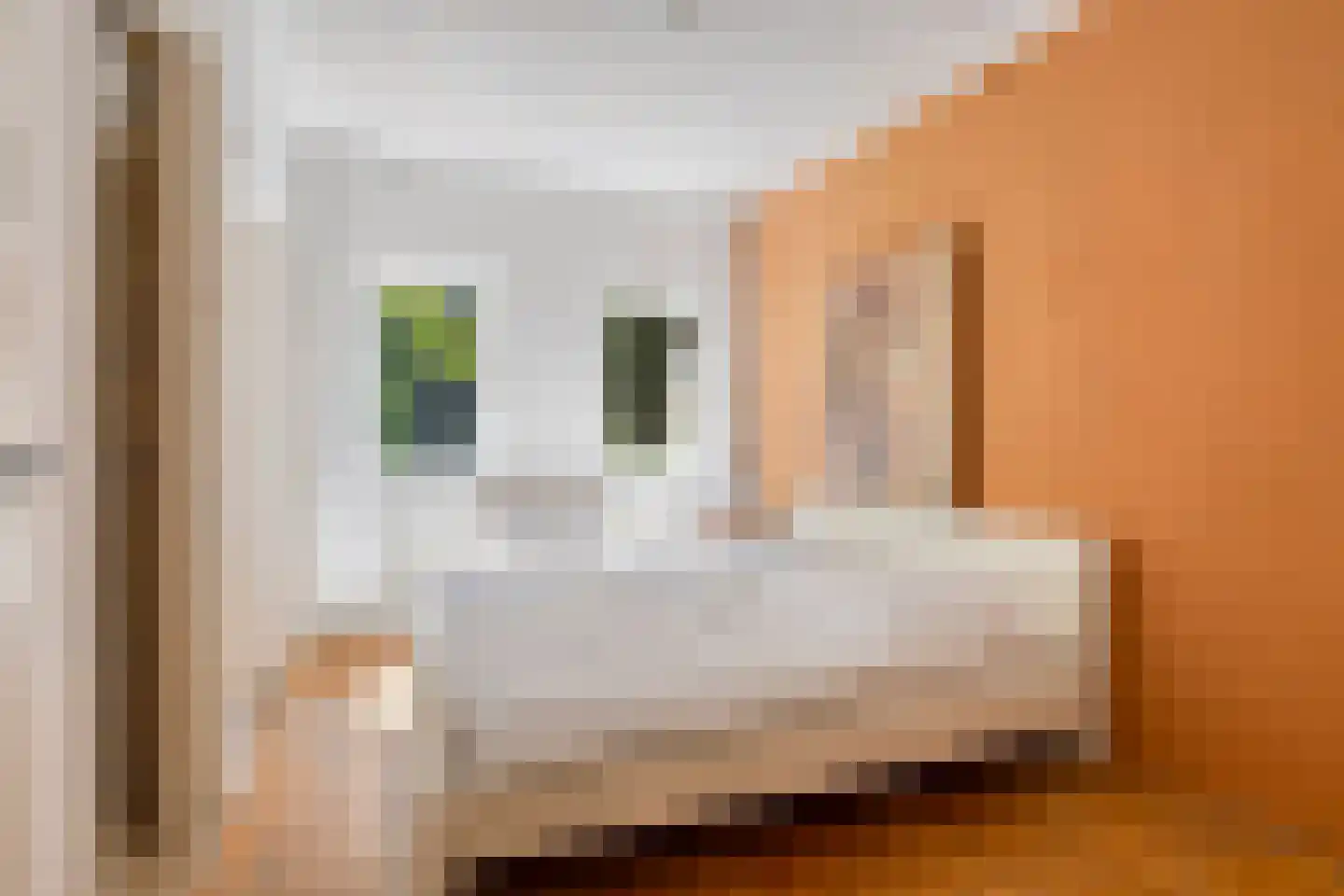 Griffensteijnselaan 49 Zeist thumbnail 20