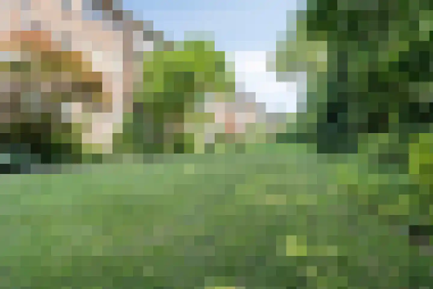 Griffensteijnselaan 49 Zeist thumbnail 26
