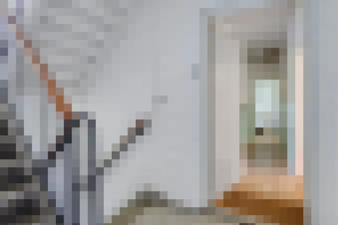 Griffensteijnselaan 49 Zeist thumbnail 30