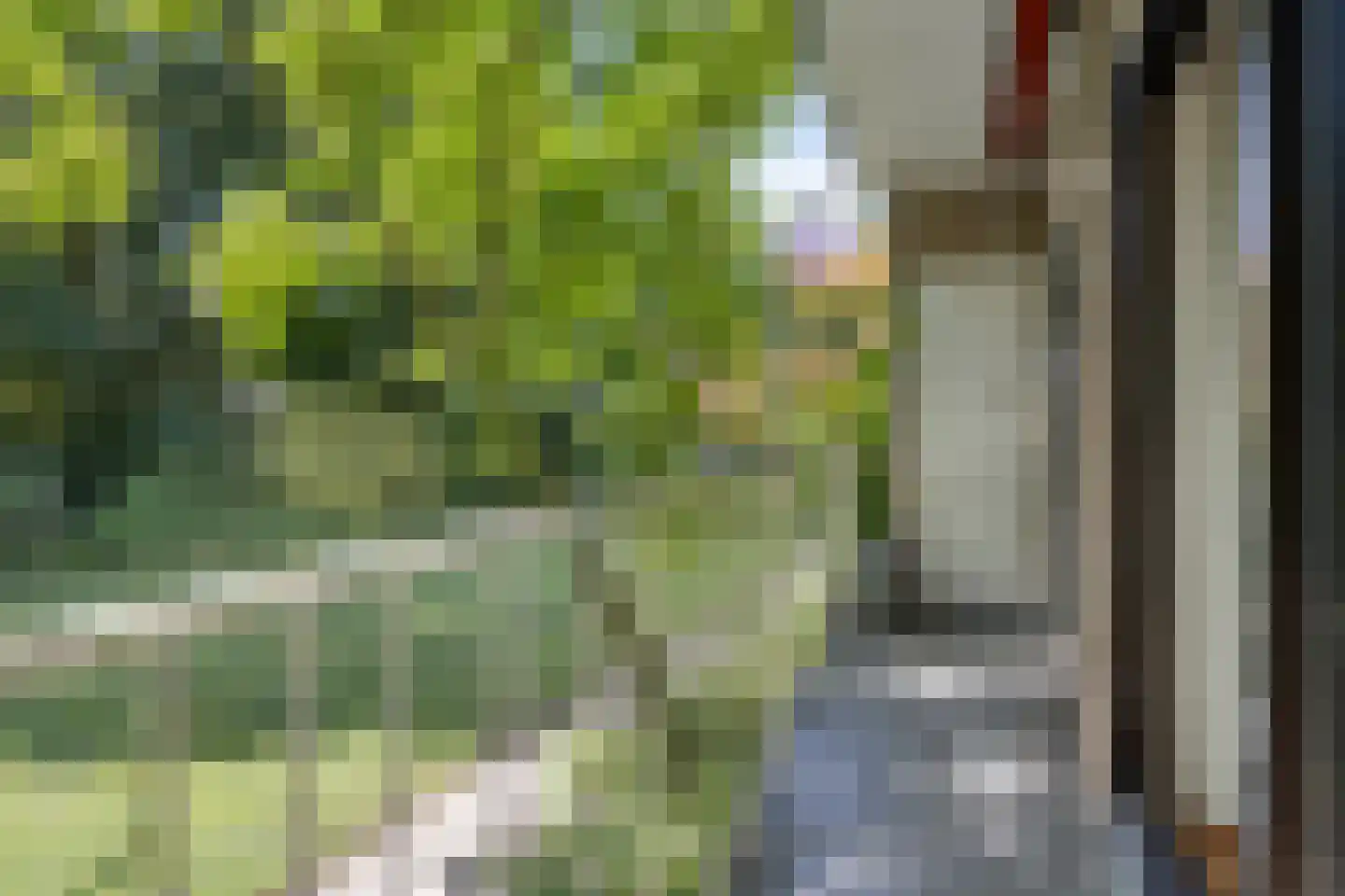 Griffensteijnselaan 49 Zeist thumbnail 6