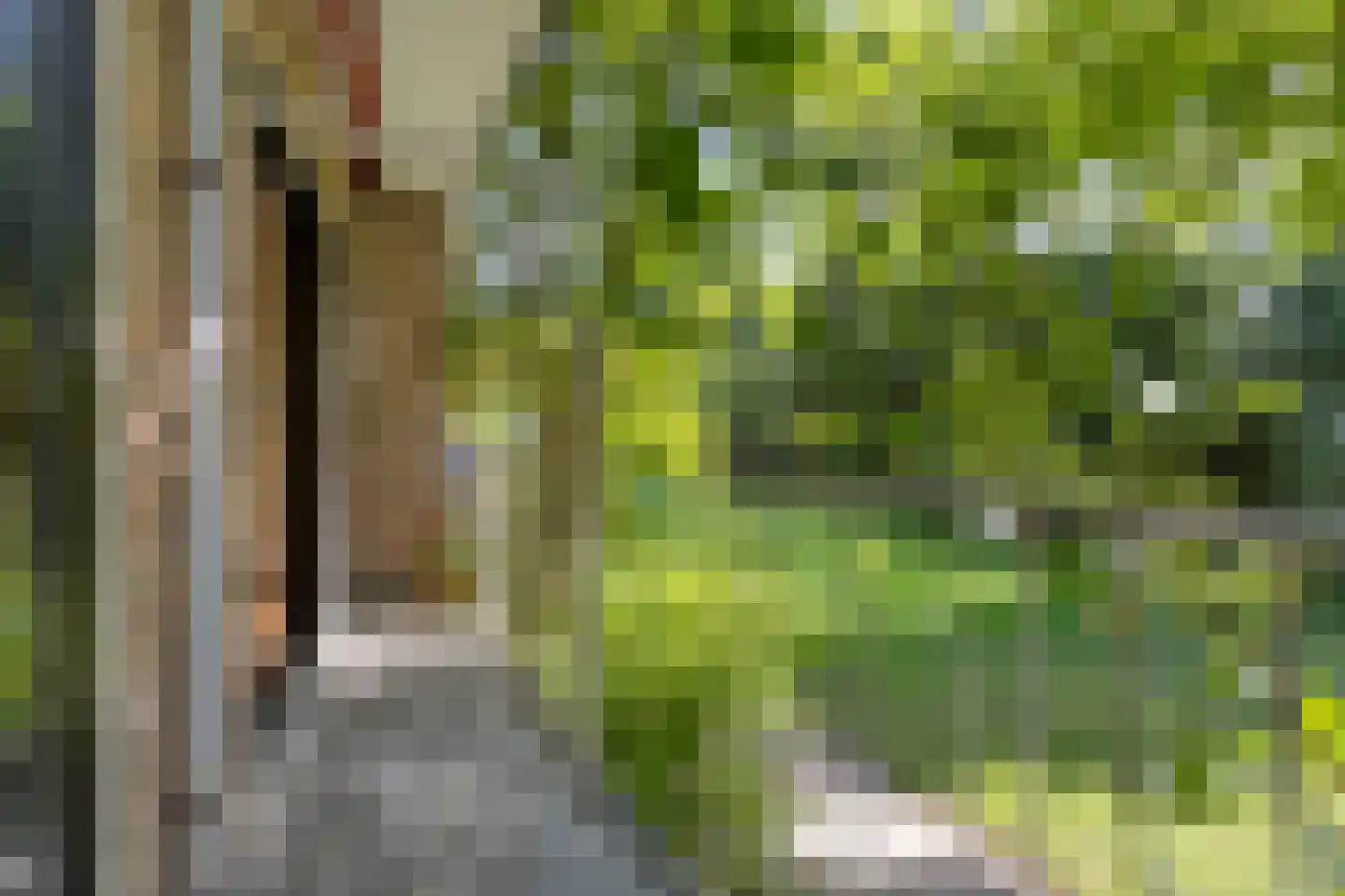 Griffensteijnselaan 49 Zeist thumbnail 7