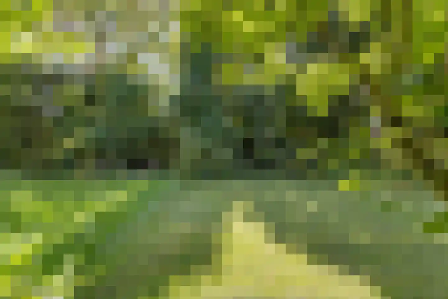 Griffensteijnselaan 49 Zeist thumbnail 8