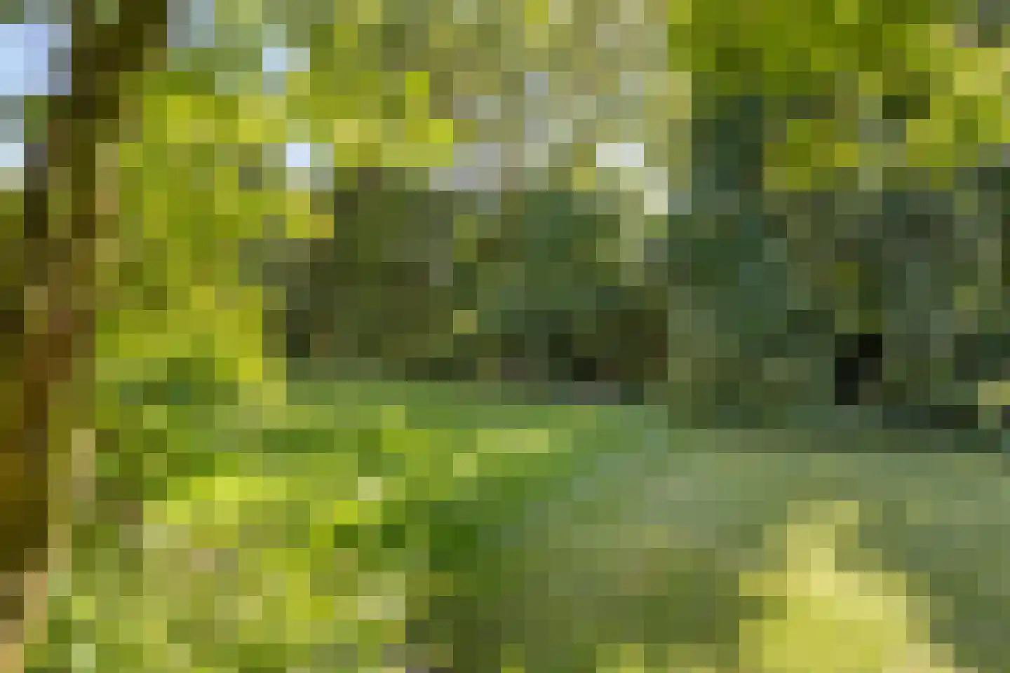 Griffensteijnselaan 49 Zeist thumbnail 9