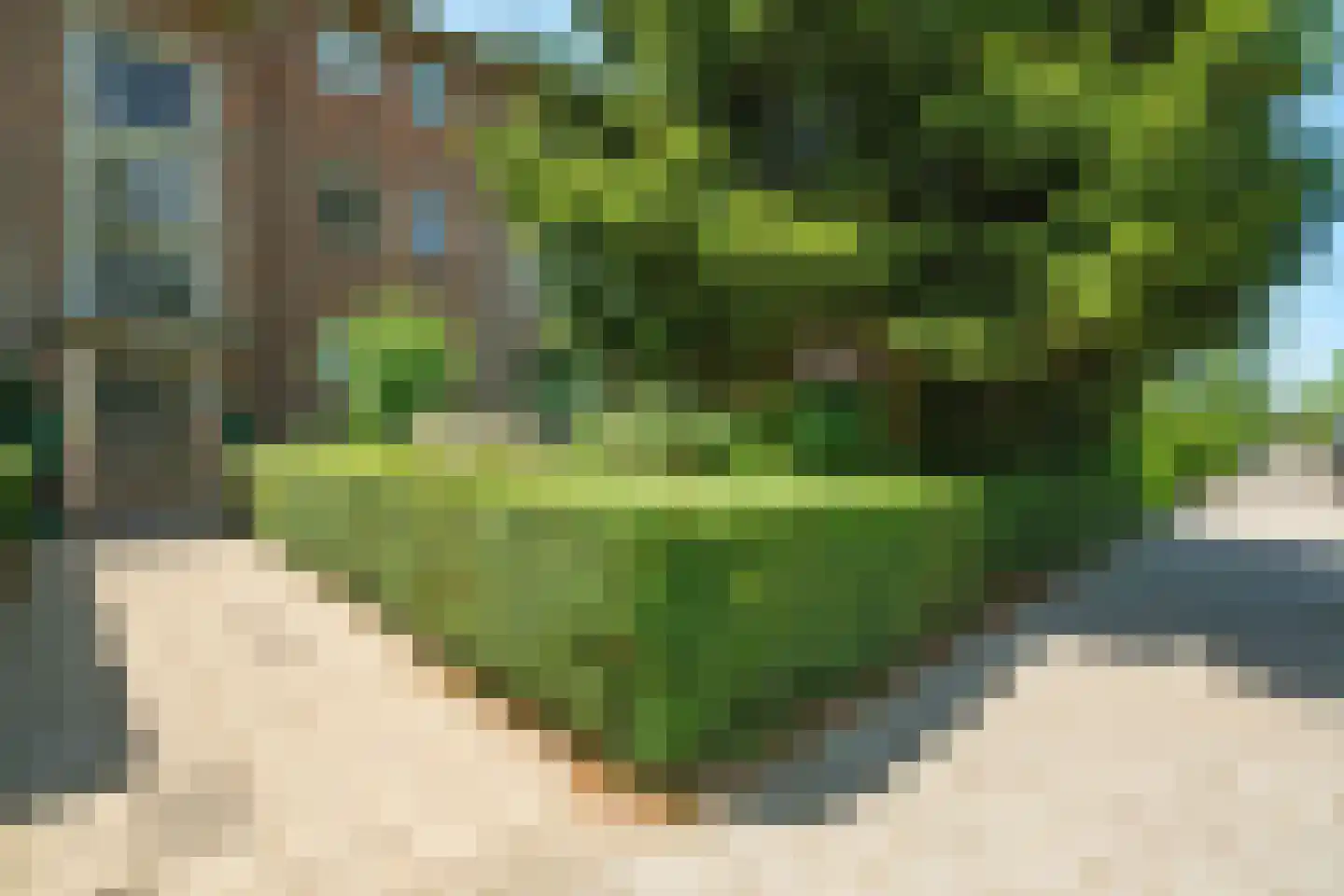 Griffensteijnselaan 52 Zeist thumbnail 16