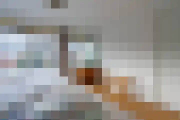 Griffensteijnselaan 58 Zeist thumbnail 27