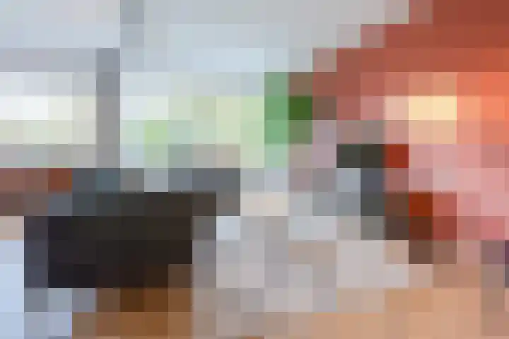 Griffensteijnselaan 58 Zeist thumbnail 4