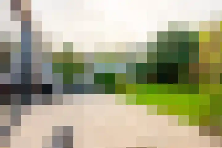 Griffensteijnselaan 58 Zeist thumbnail 40