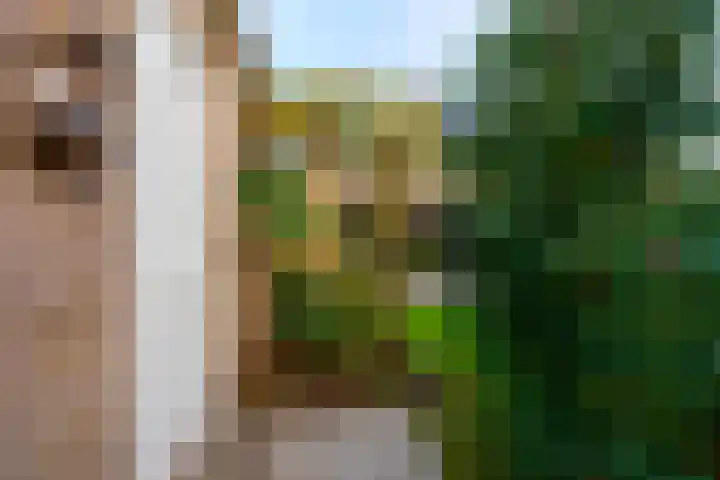 Griffensteijnselaan 58 Zeist thumbnail 44