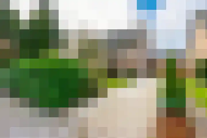 Griffensteijnselaan 58 Zeist thumbnail 48